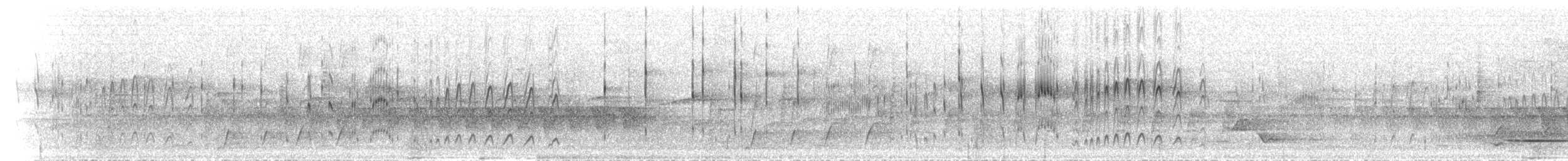 Scarce Swift - ML625680766