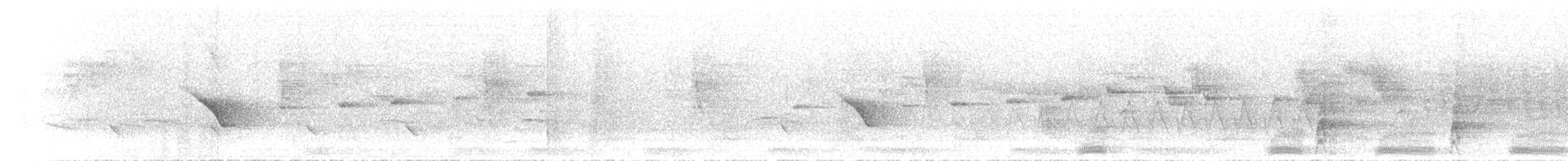 Purple-throated Cuckooshrike - ML625680813