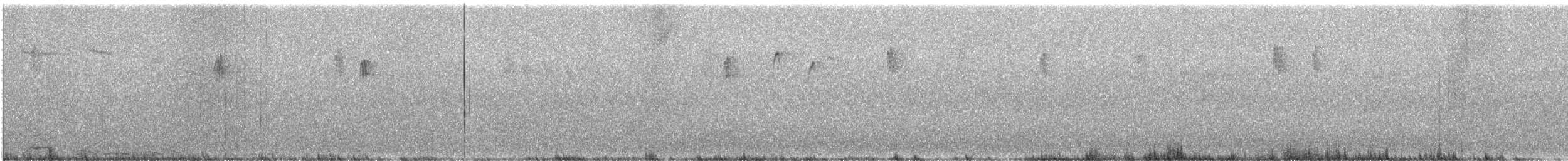 Сүүлт хөх бух - ML625682845