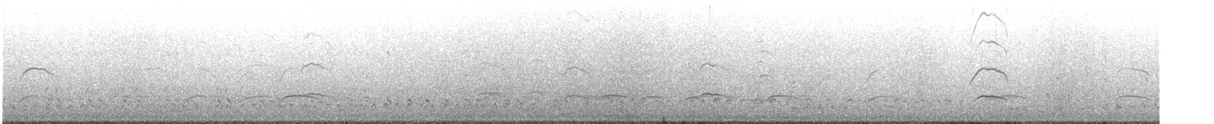 American Oystercatcher - ML625692112