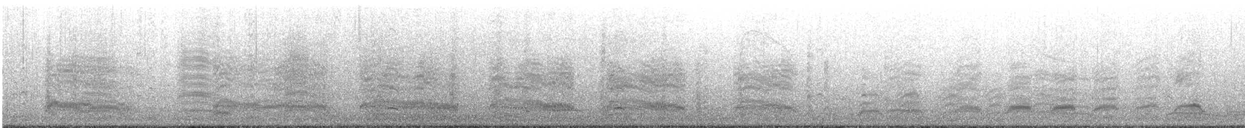 Gray-hooded Gull - ML625692394