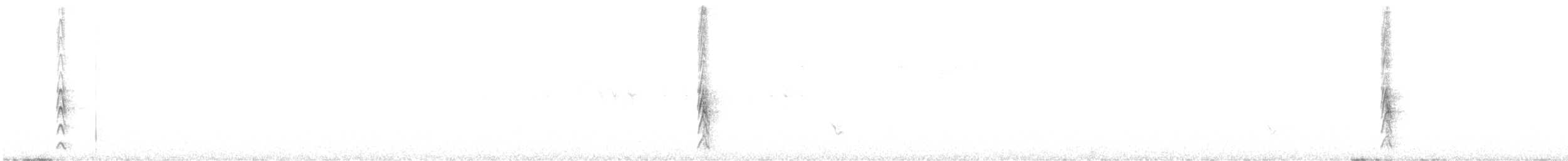 Noisy Scrub-bird - ML625692457