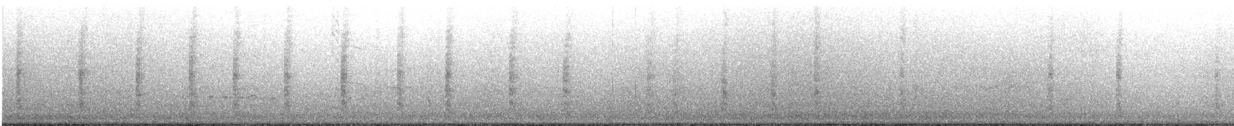 Gray-hooded Gull - ML625692547