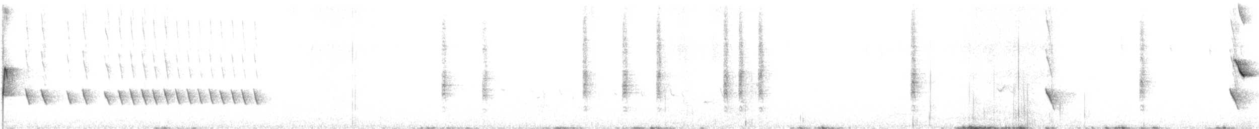 Noisy Scrub-bird - ML625692564