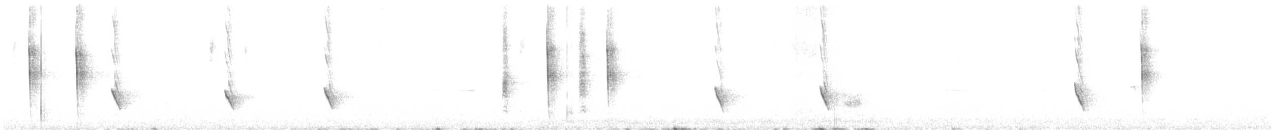 Noisy Scrub-bird - ML625692614