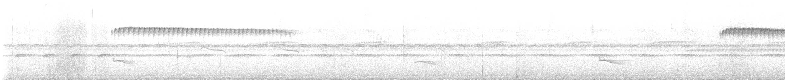 Grayish Piculet - ML625692625
