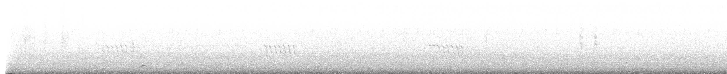 クビワカモメ - ML625699875