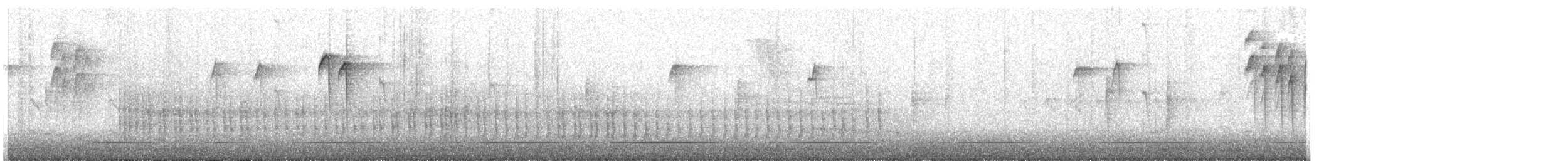 Belted Kingfisher - ML625703706