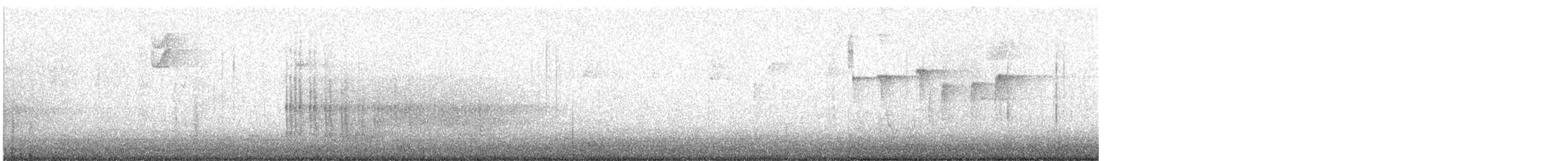 Belted Kingfisher - ML625703836