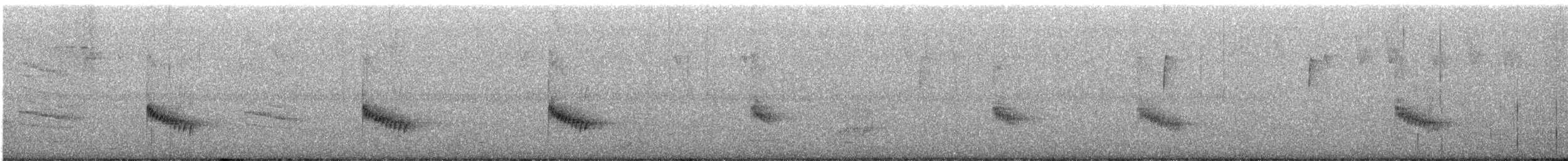 Carolina Wren - ML625706256