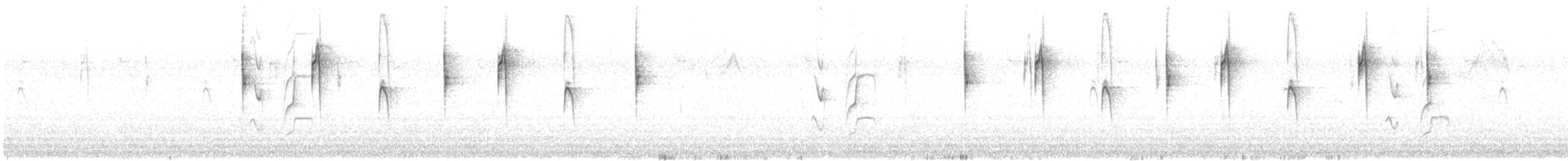 White-vented Violetear - ML625707472