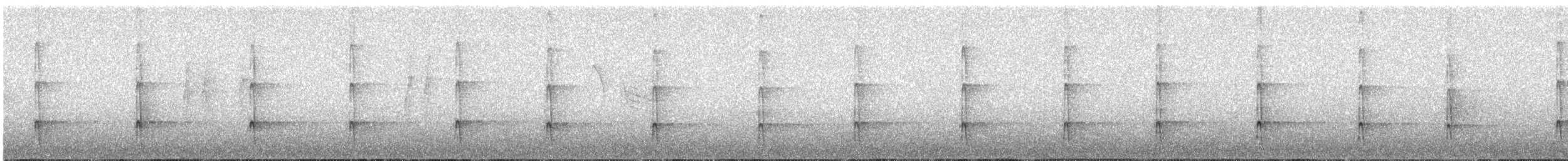 datlík černohřbetý - ML625707515