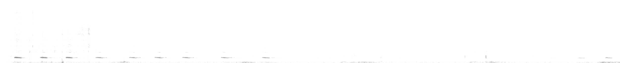 Unspotted Saw-whet Owl - ML625712554