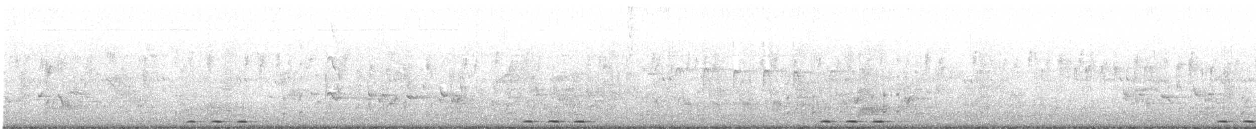 Huppe fasciée - ML625714973