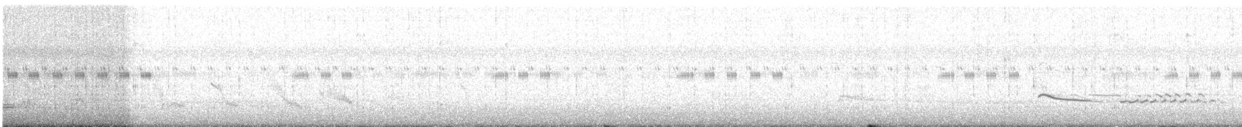 Black Kite (Black-eared) - ML625719540