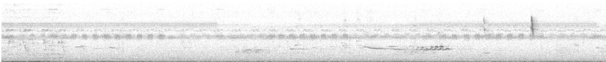 Black Kite (Black-eared) - ML625719543