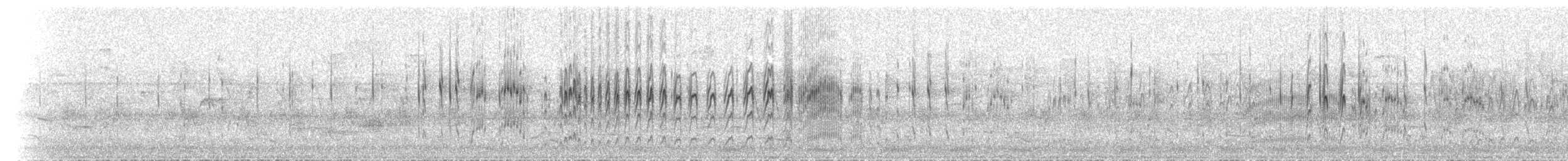 Scarce Swift - ML625719787