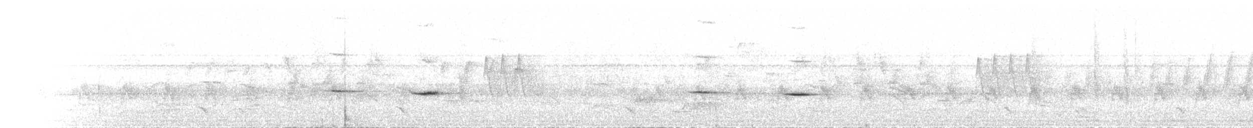 Chinspot Batis - ML625719789