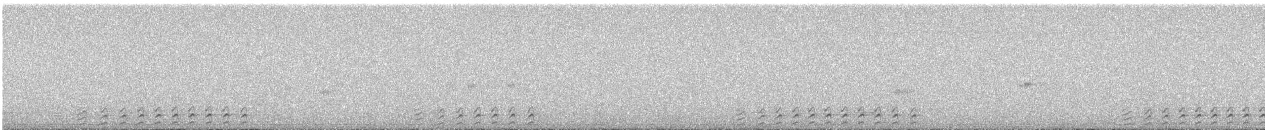 Utcubamba Tapaculo - ML625724424