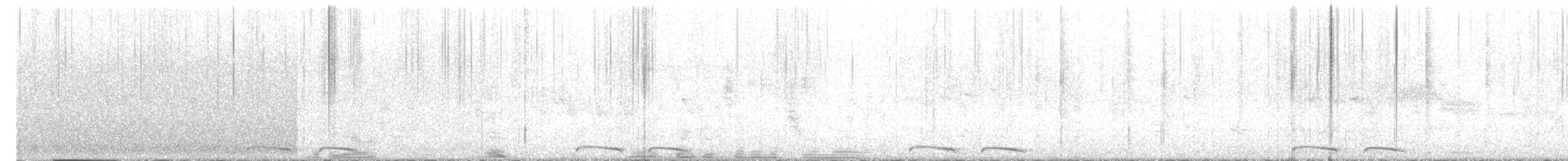 kaktusdue - ML625725570