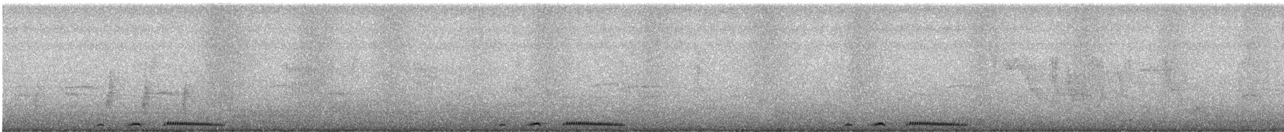 Spotted Dove - ML625726689