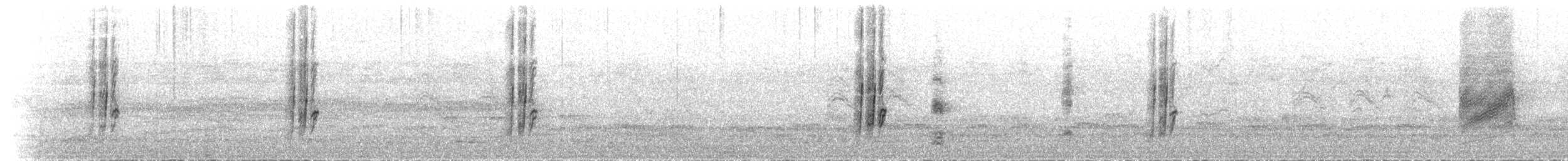 栗頭麗椋鳥 - ML625729555