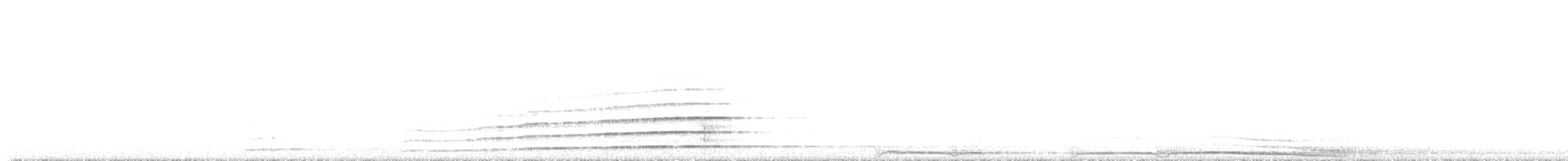 Barred Owl - ML625733041