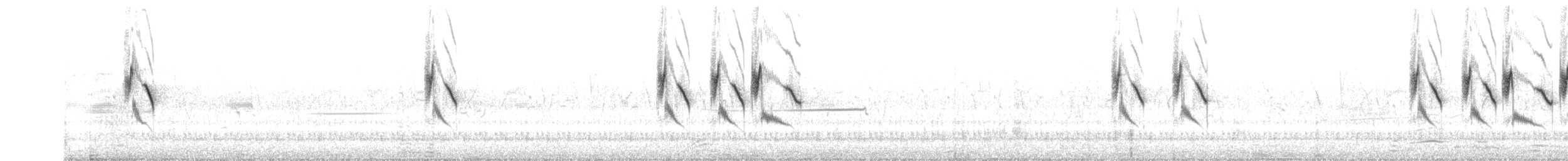 ハイムネハウチワドリ - ML625737702