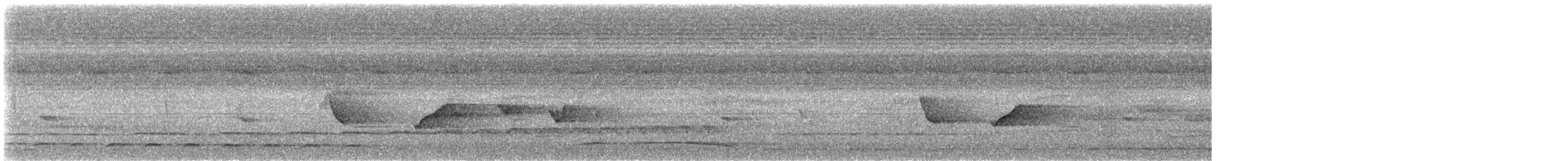 ズグロムジチメドリ（rufiventris／harterti） - ML625753436