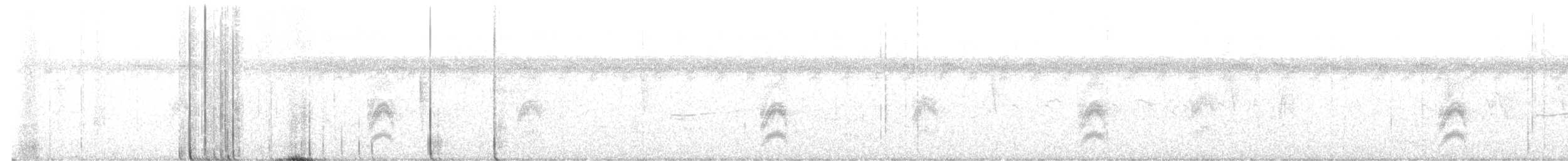 White-throated Flycatcher - ML625754564