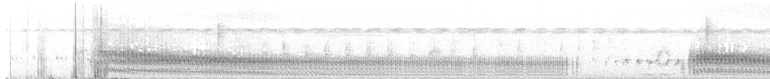 Rubinralle - ML625754661