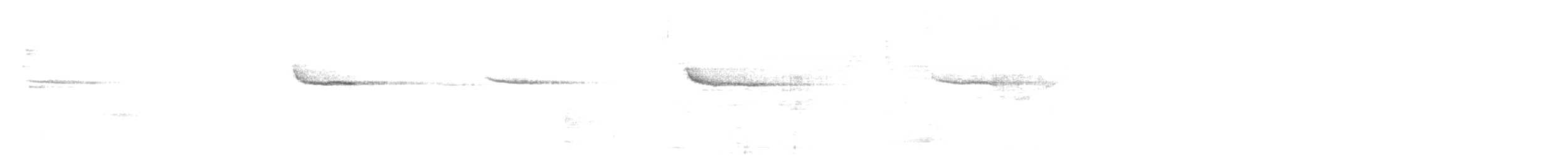 White-crowned Forktail (Northern) - ML625765740