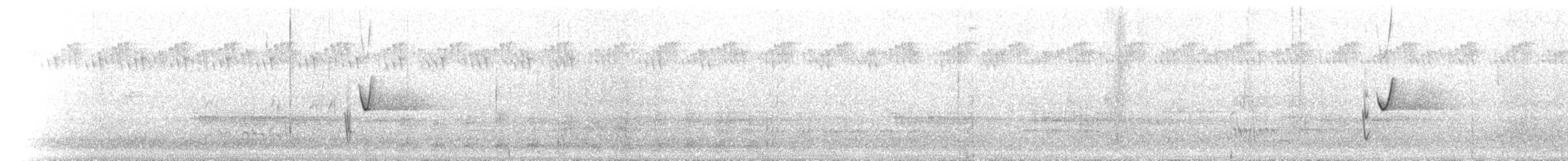 parykkstær - ML625769900