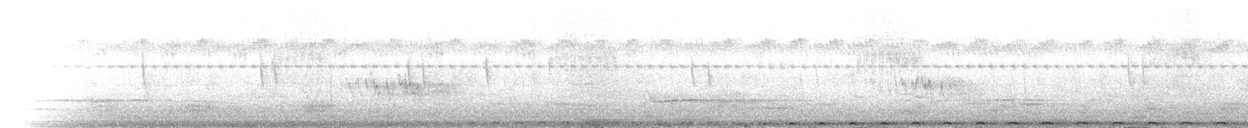 Speckled Pigeon - ML625769917