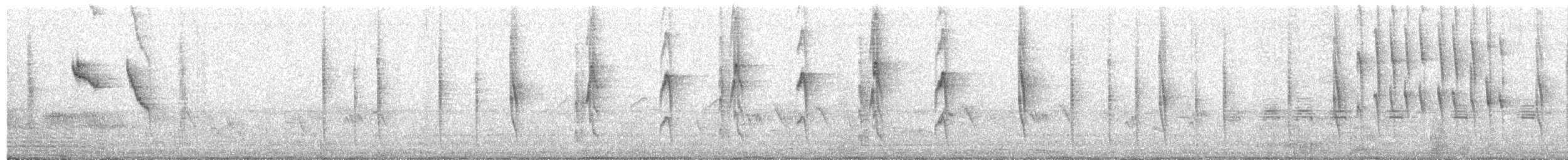 ミズベハチドリ - ML625772821