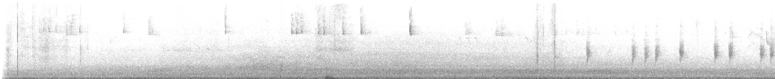 Bewick's Wren - ML625776615