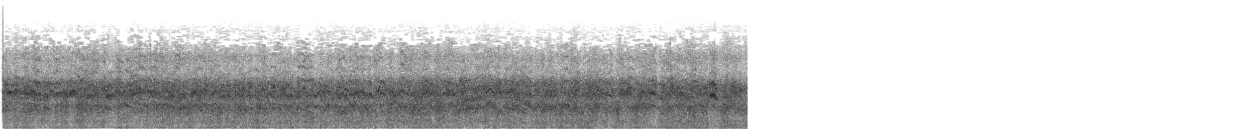 Braunkopfmöwe - ML625777320