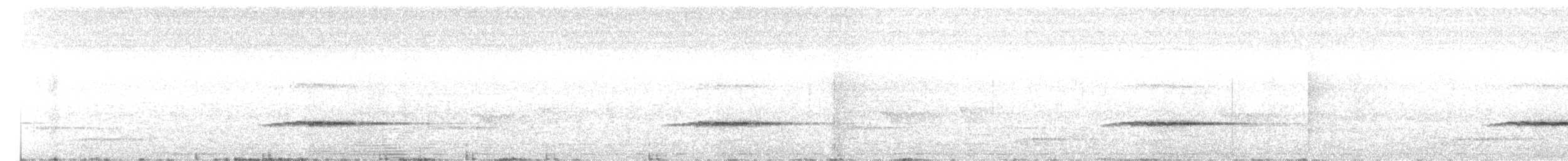 White-capped Monarch - ML625779010