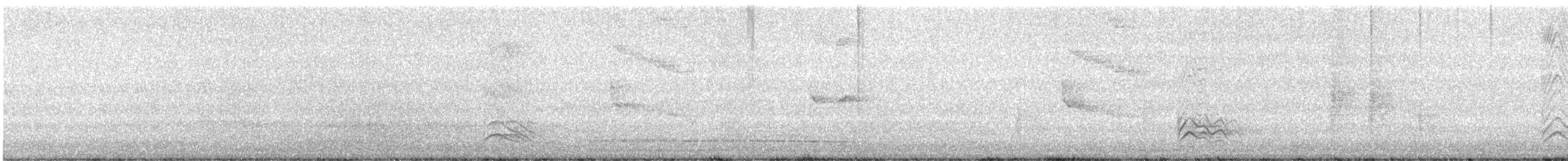 Geai des pinèdes - ML625787390