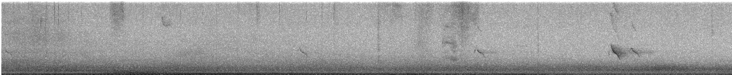 Gros-bec errant - ML625788057