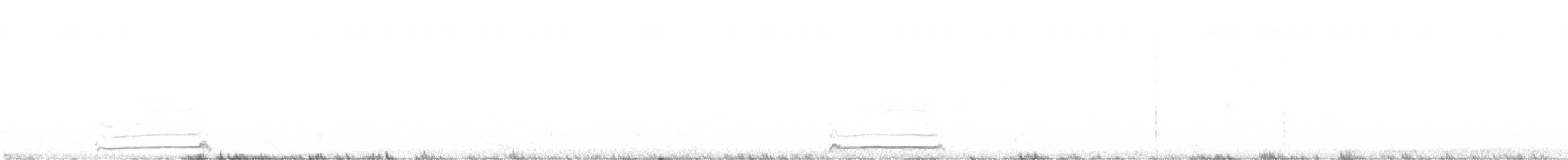 Little Owl - ML625788745