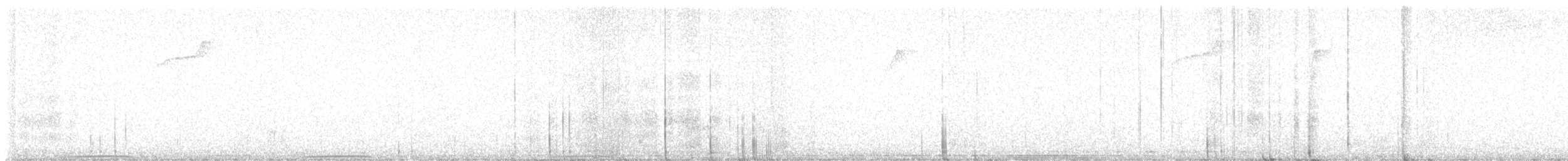 Band-tailed Pigeon - ML625791817