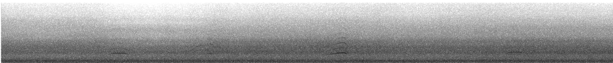 Gray Gull - ML625792967
