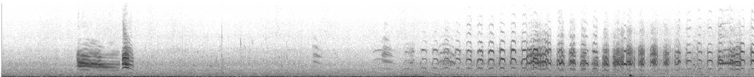 South American Tern - ML625796986