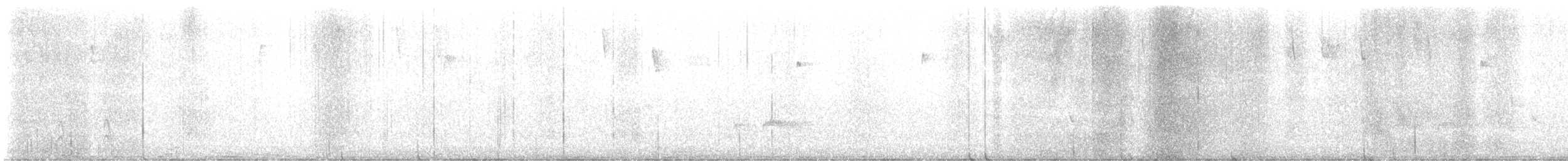 Ash-throated Flycatcher - ML625797892