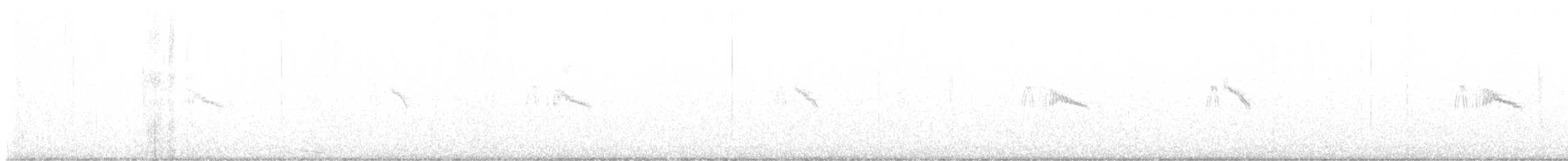 Black Phoebe - ML625799895