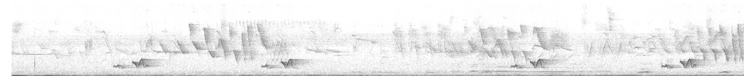 Tangara Rosada - ML625801470