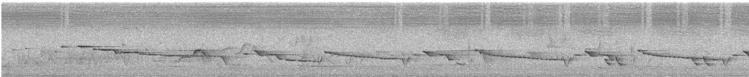 hvitstrupegerygone - ML625805314
