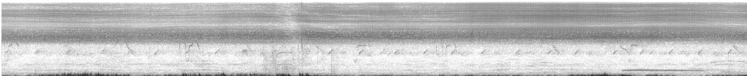 ミナミヤブハエトリ - ML625812307