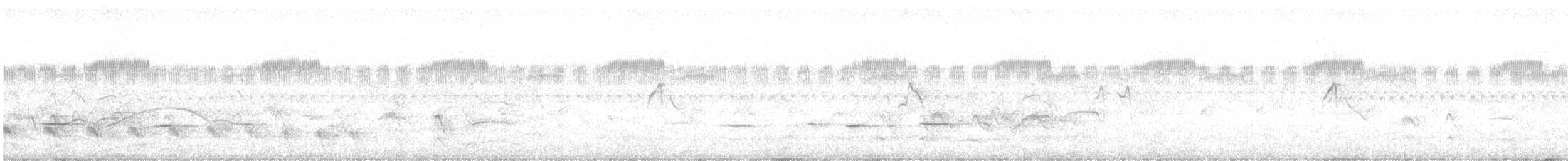 ミナミヤブハエトリ - ML625812384